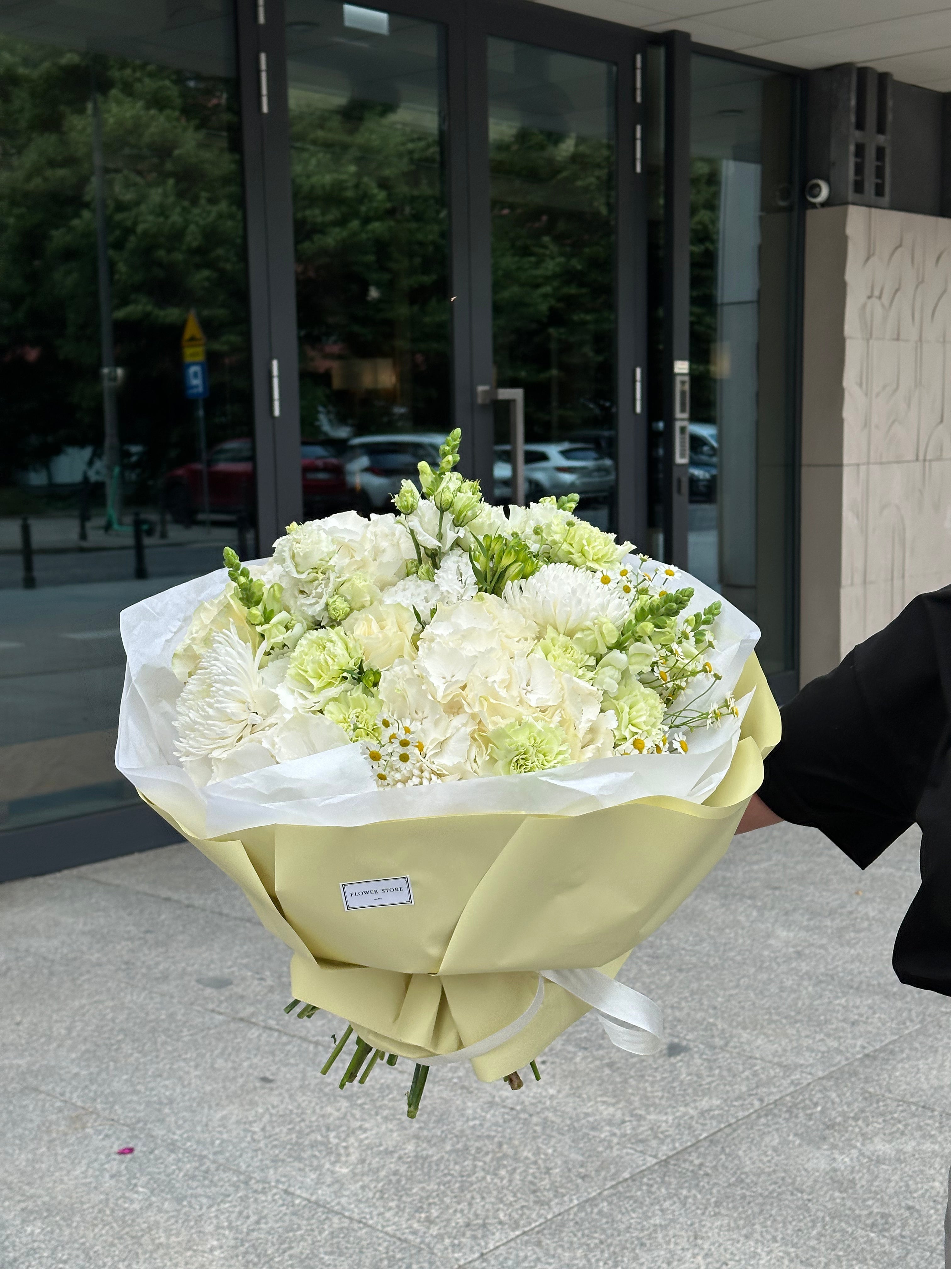 Najlepsze rośliny do biura w Warszawie: 20 gatunków o niskich wymaganiach