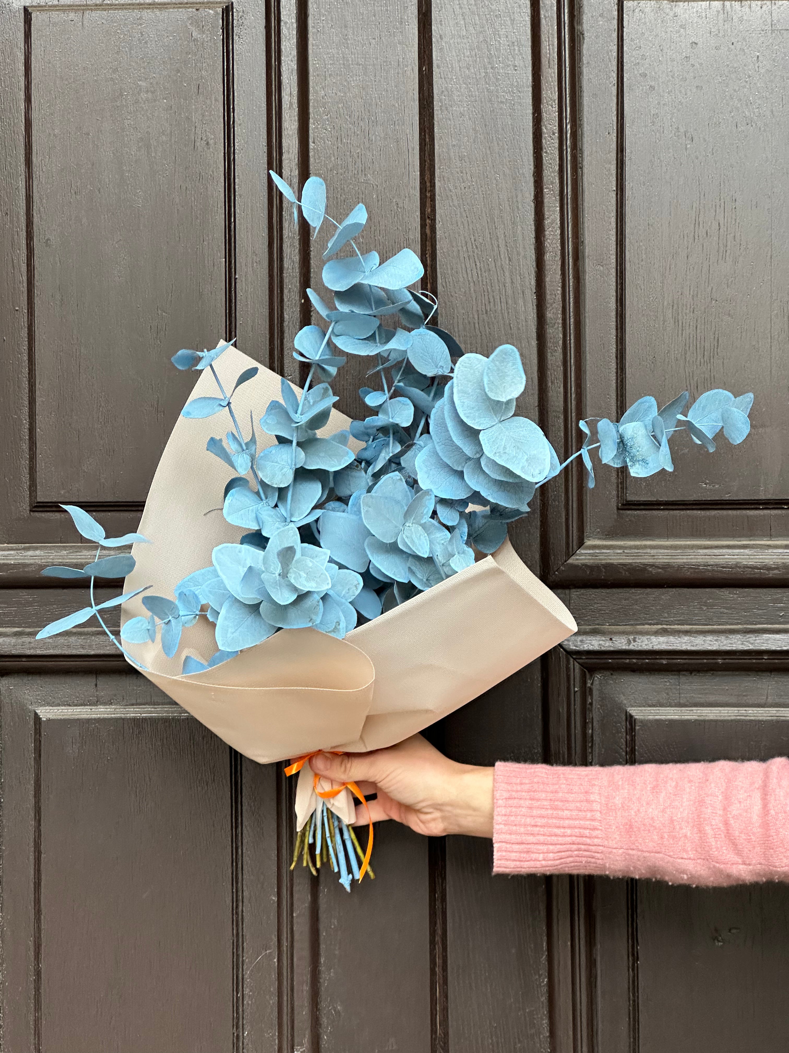 Jesienny kolorowy eukaliptus (HIT)