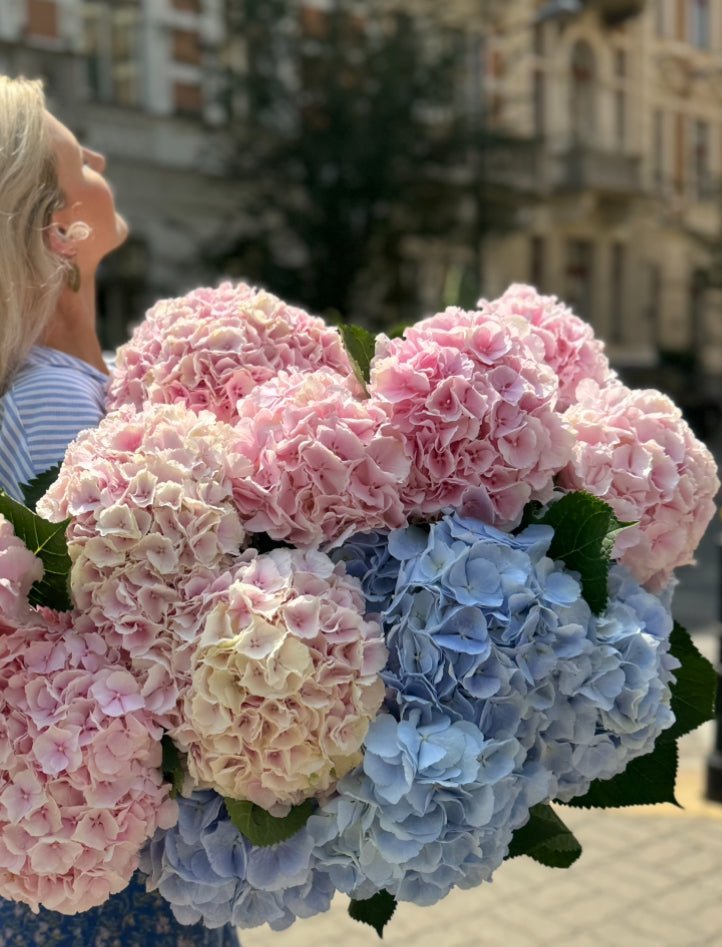 Hortensje Bukiet - kwiaty Flower Store Warszawa