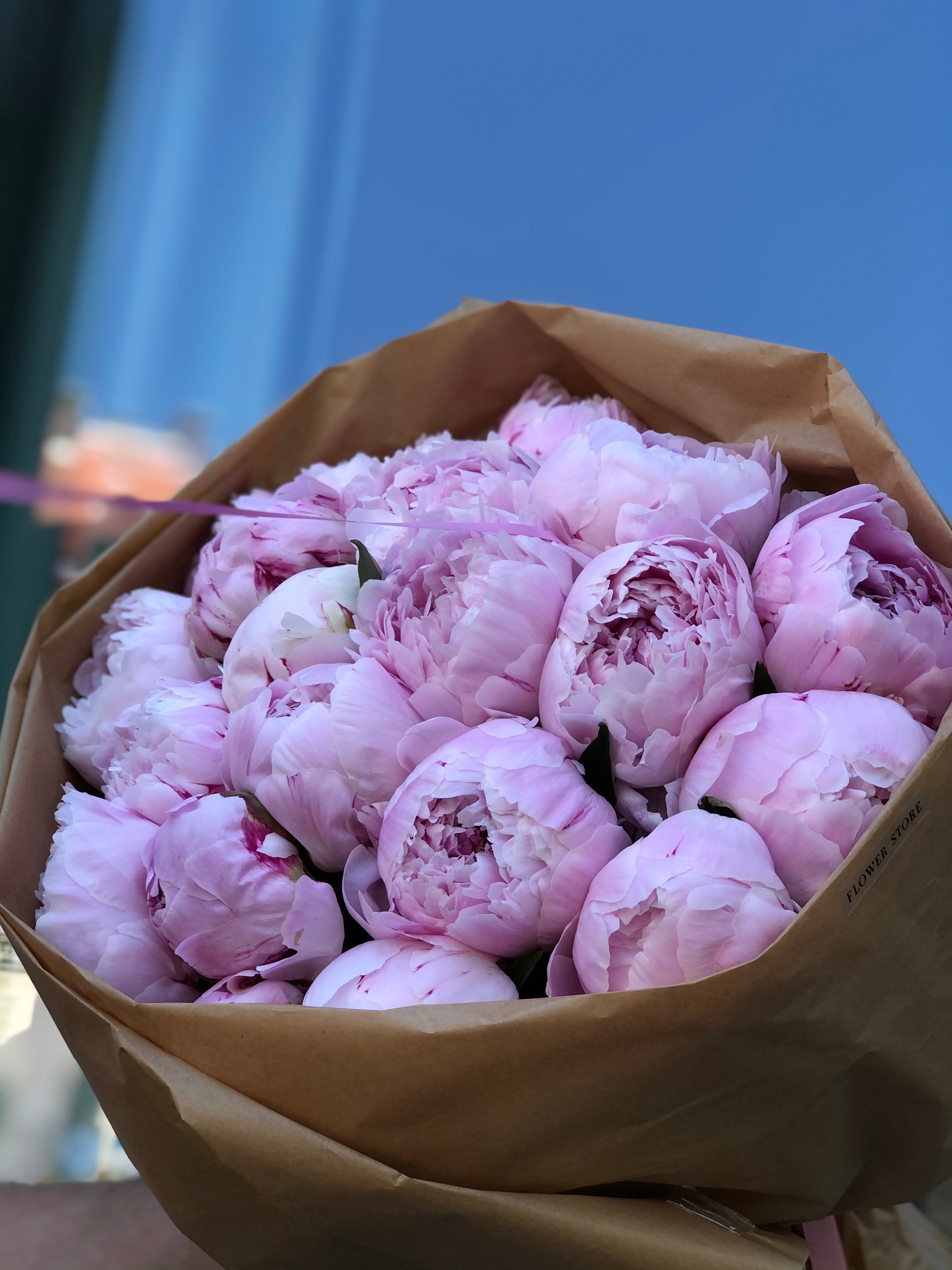 Abonament kwiatów do domu- wersja Sweet