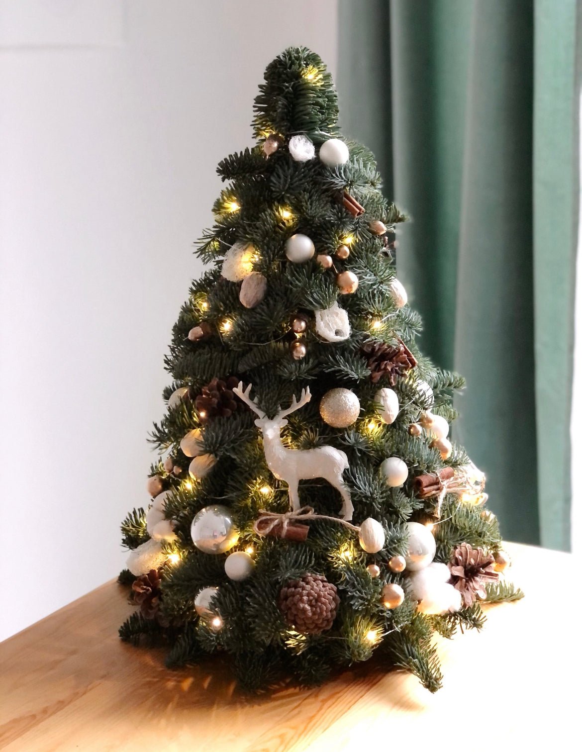 Choinka - Marry Christmas - żywa