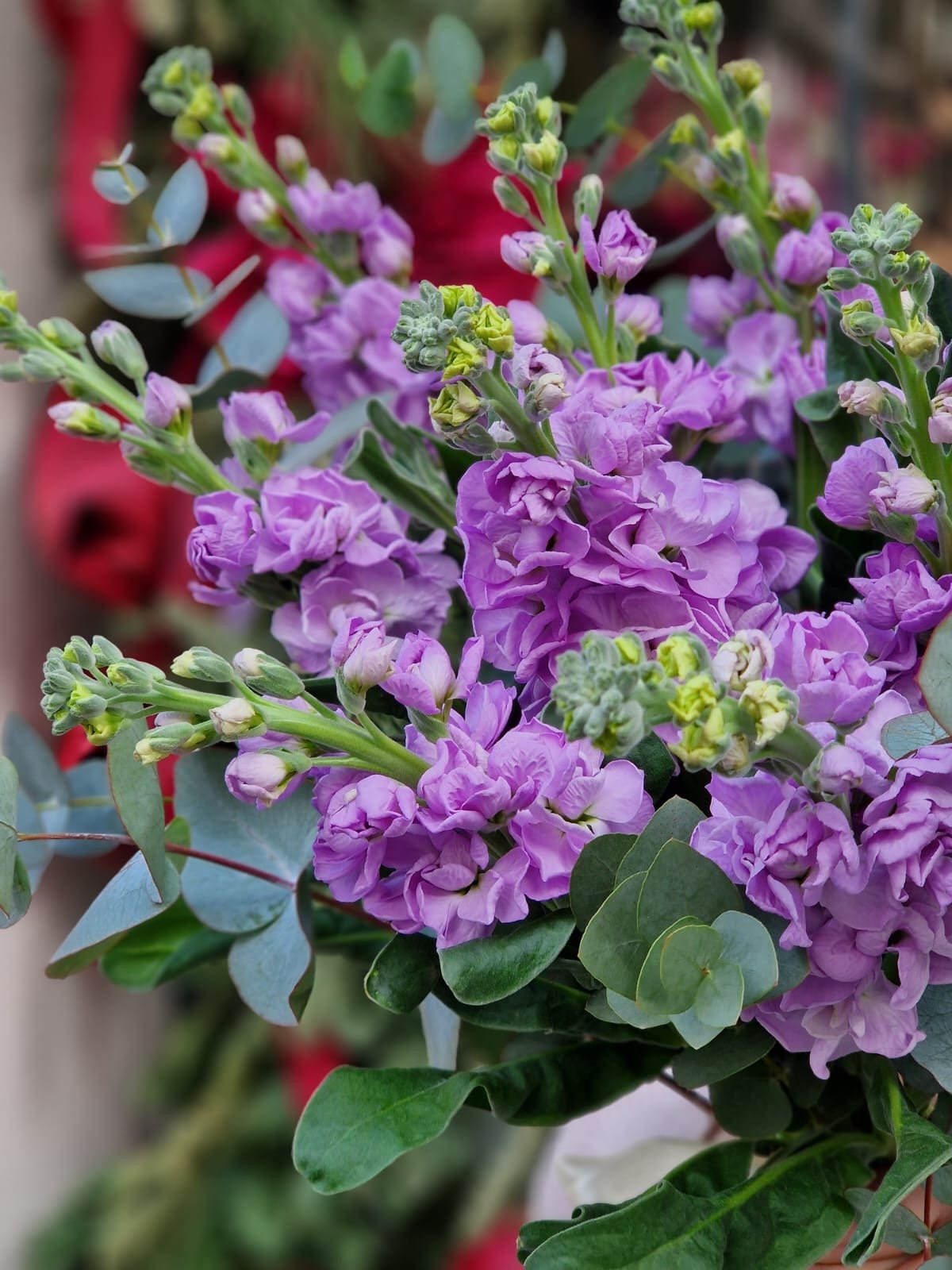 Bouquet of levkonia flowers