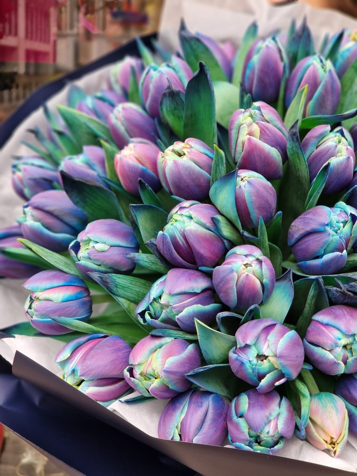 Bouquet of pink tulips