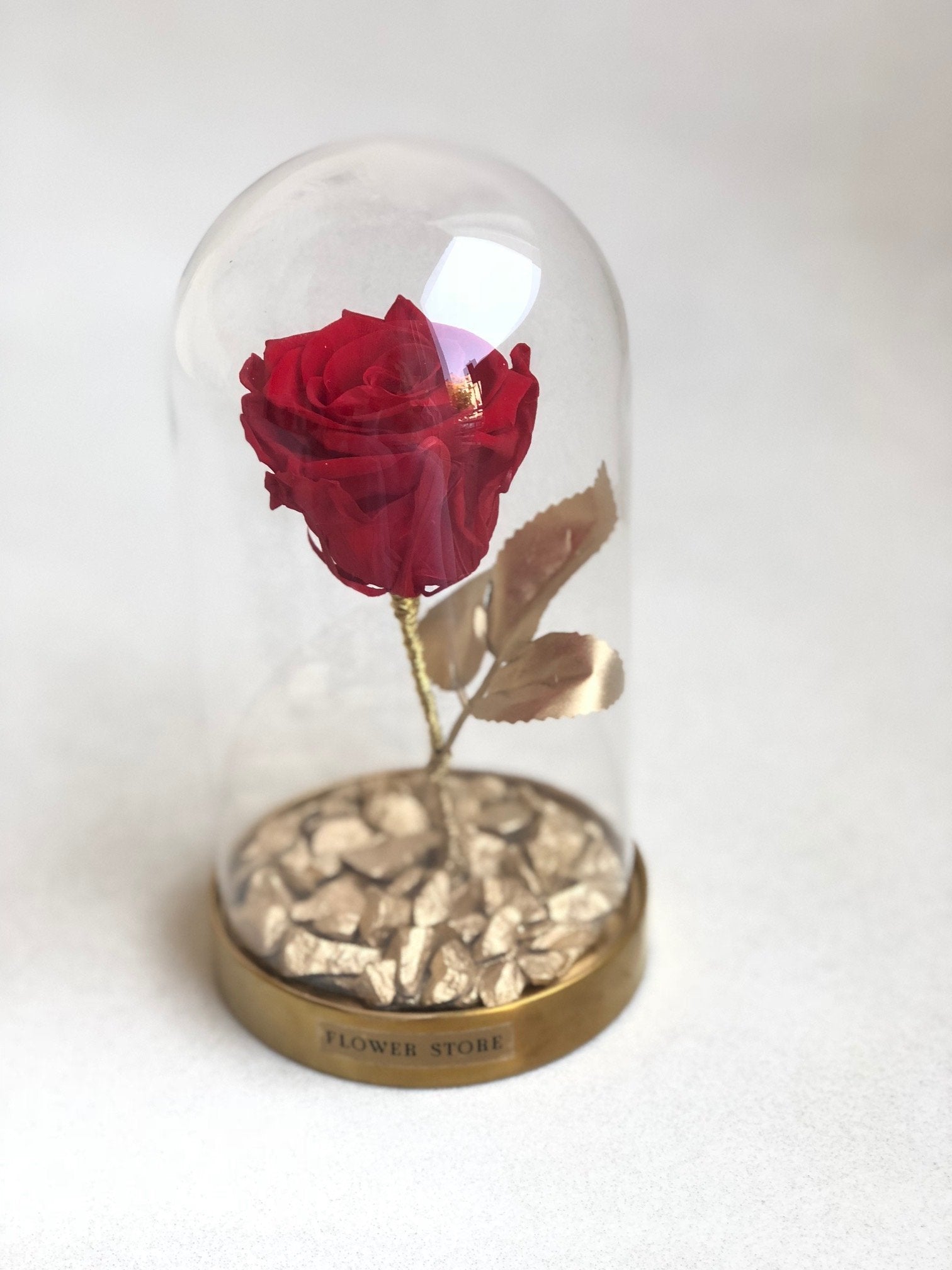 Eternal rose in a glass dome