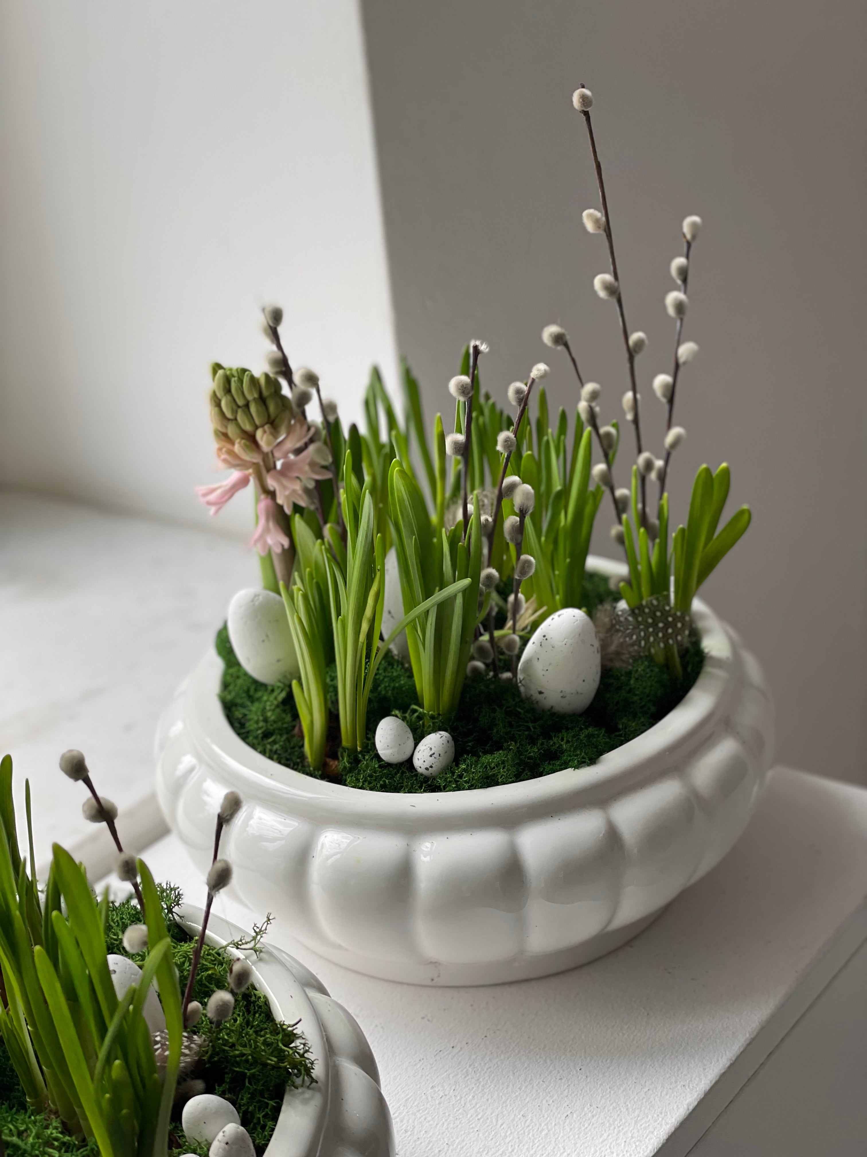 Żywa Kompozycja Wielkanocna premium