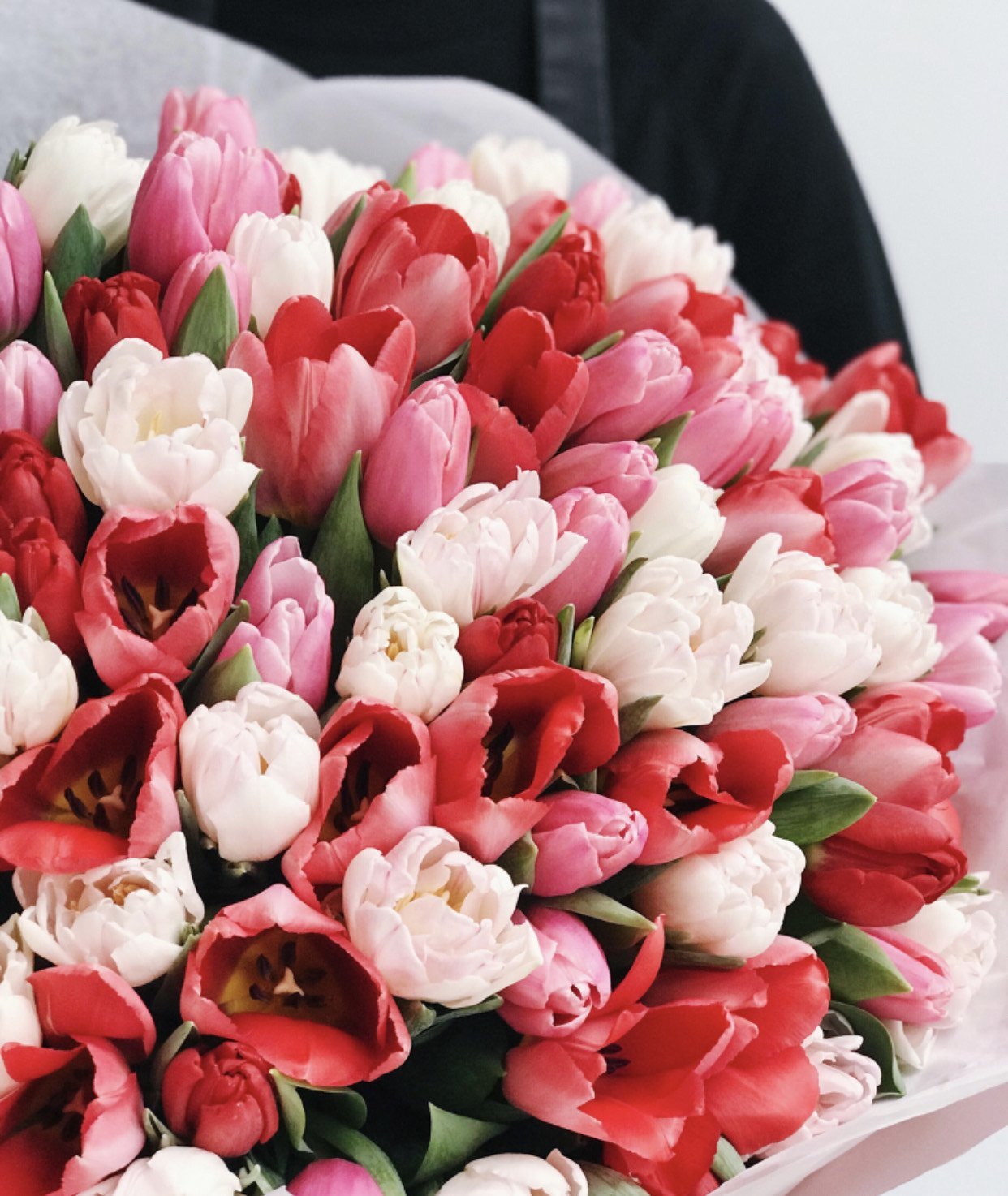 Bouquet of 100 tulips